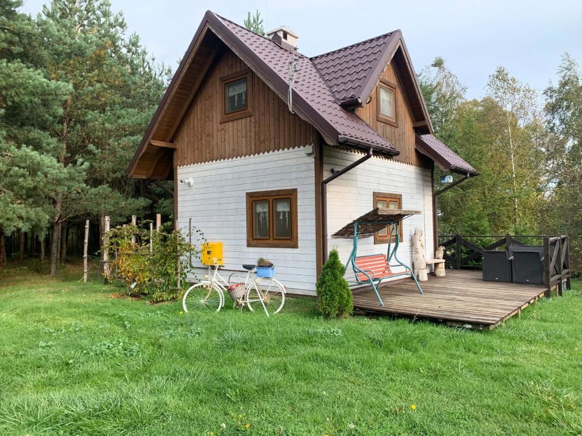 Лоджи Pod Papugami Laskowice-19