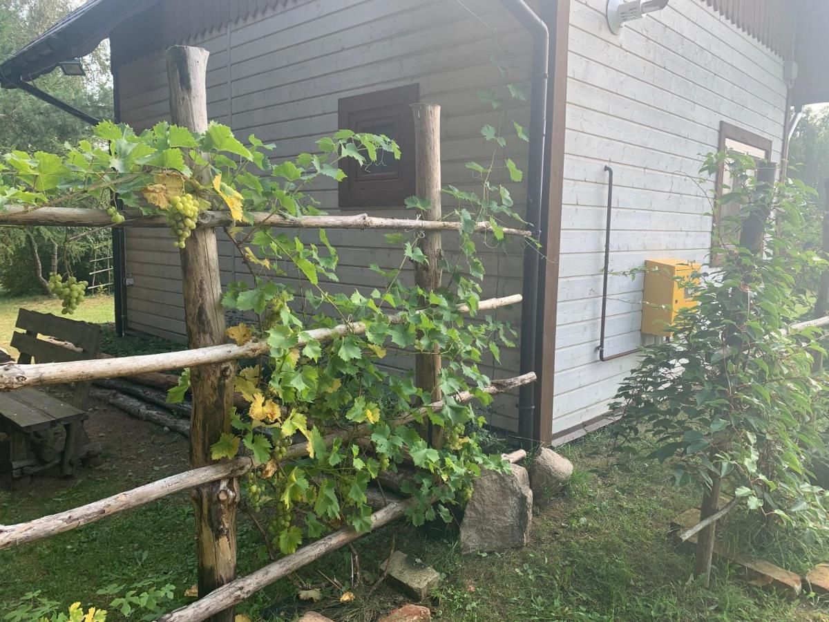 Лоджи Pod Papugami Laskowice-30