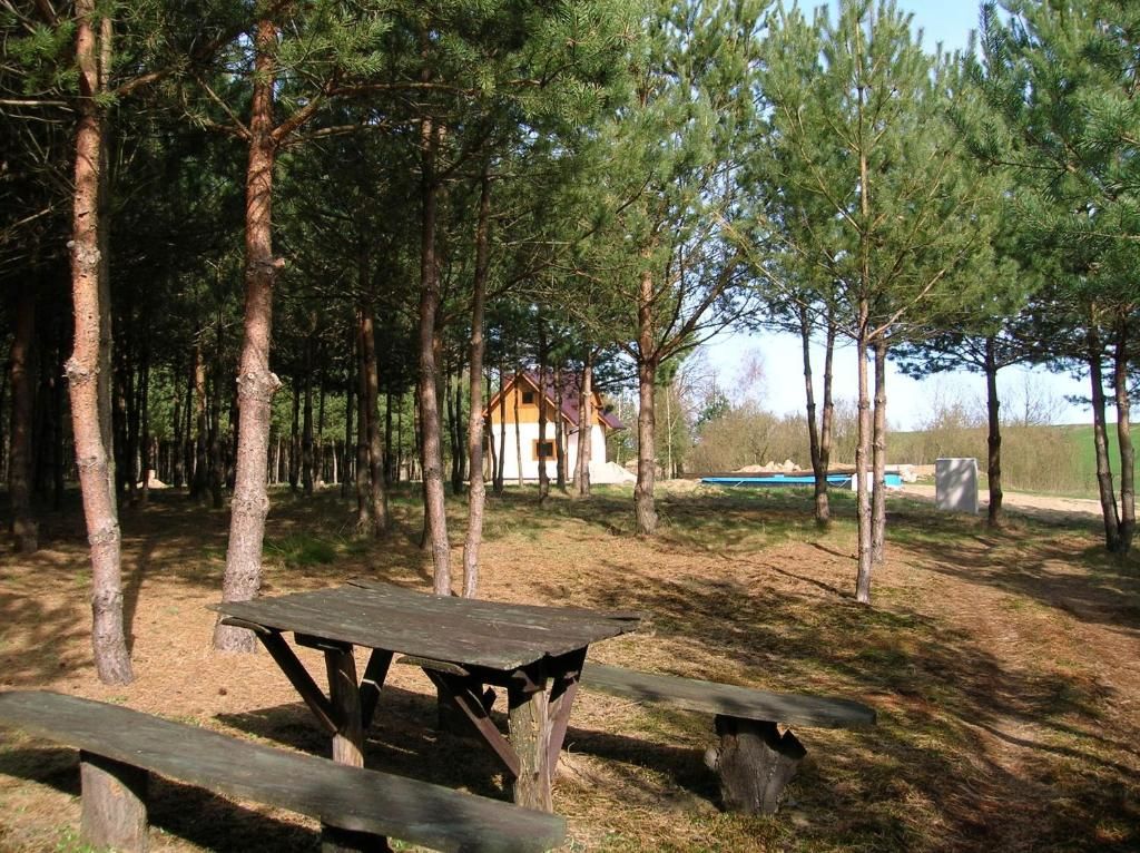 Лоджи Pod Papugami Laskowice-52